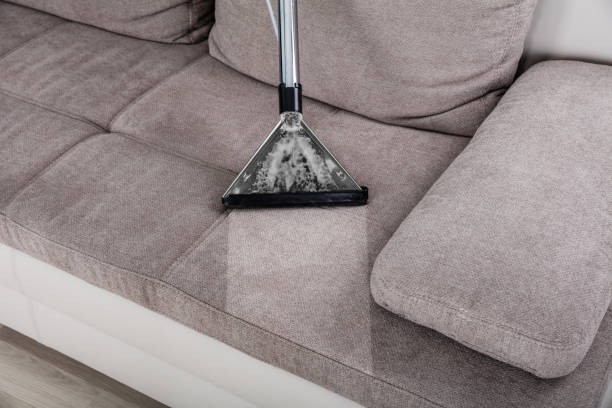 best carpet cleaning